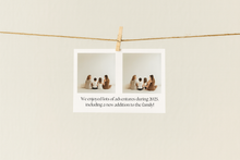 Load image into Gallery viewer, Simple Christmas card template