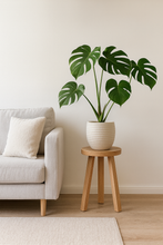 Load image into Gallery viewer, White oak stools