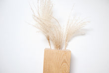 Load image into Gallery viewer, Wall vase