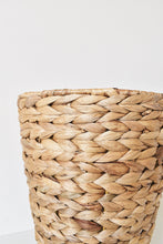 Load image into Gallery viewer, Plant basket || new