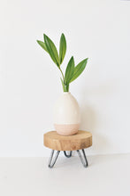 Load image into Gallery viewer, Plant stand with hairpin legs
