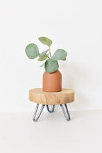 Load image into Gallery viewer, Plant stand with hairpin legs