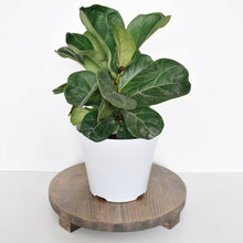 Load image into Gallery viewer, Rustic round tray