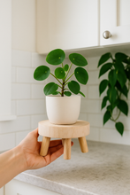 Load image into Gallery viewer, Plant stand
