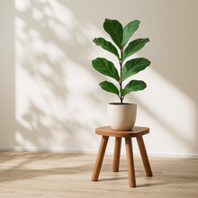 Load image into Gallery viewer, Dark wood stool || new
